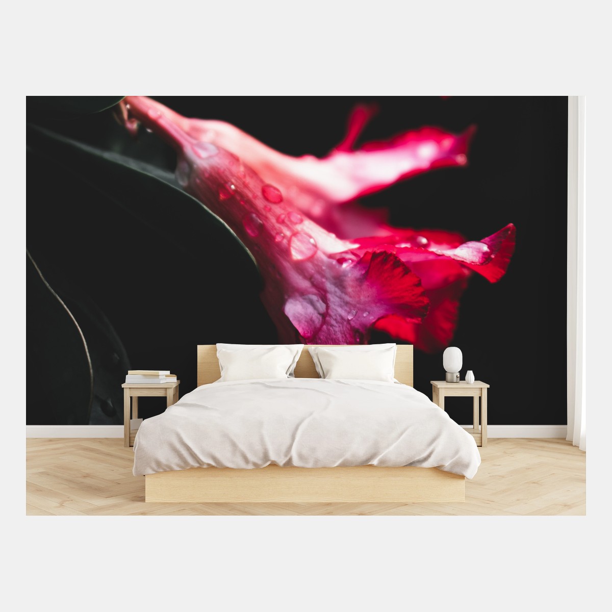 Fototapete rosa trompetenblume mit tau – Wallnifity® Fototapete rosa trompetenblume mit tau – Wallnifity®