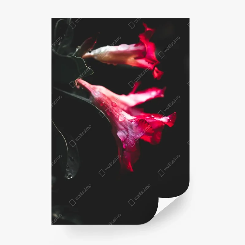 Blumen – Wallnifity®