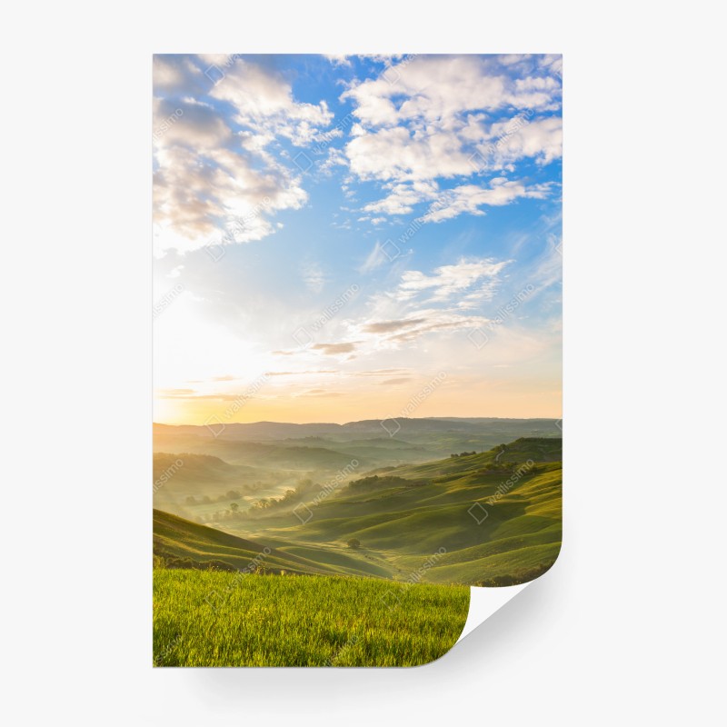 Fototapeten – Wallnifity®