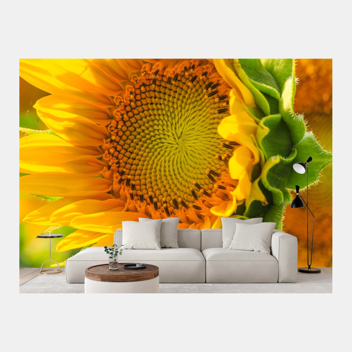 Fototapete sonnenblume nahaufnahme – Wallnifity®