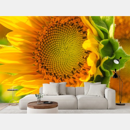 Fototapete sonnenblume nahaufnahme – Wallnifity®