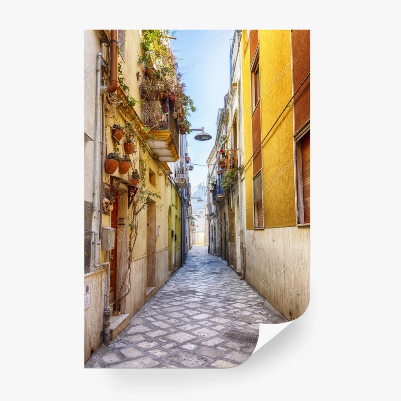Straßen – Wallnifity®