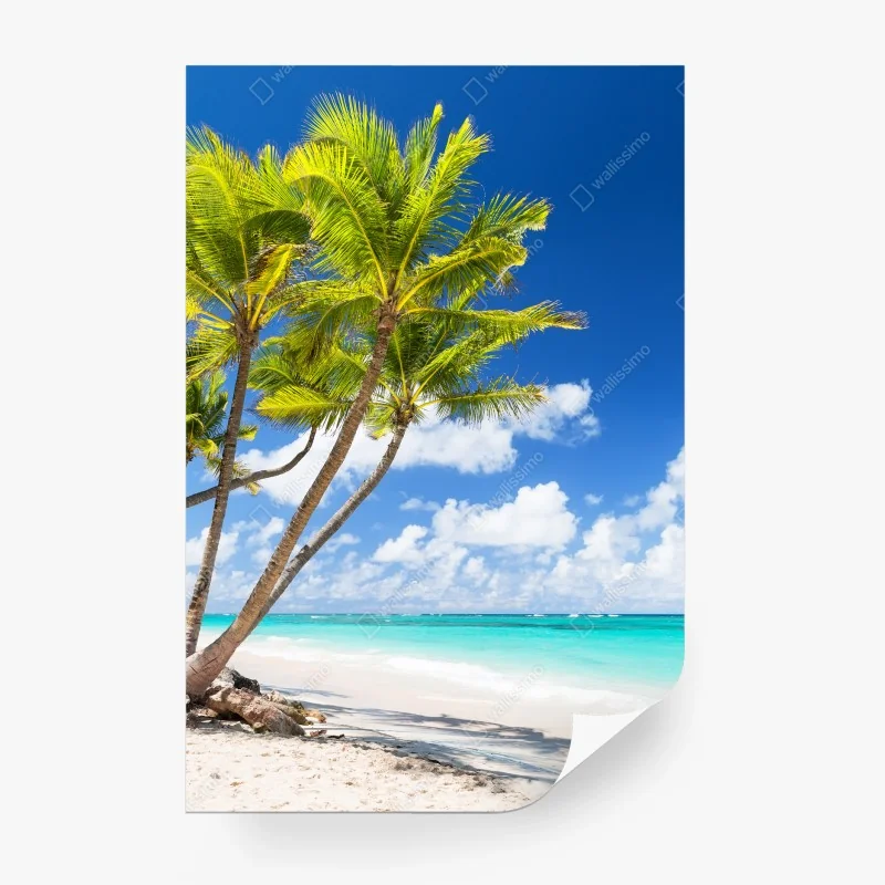 Strand – Wallnifity®