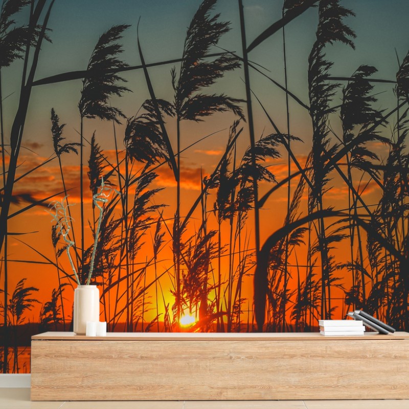 Boho – Wallnifity®