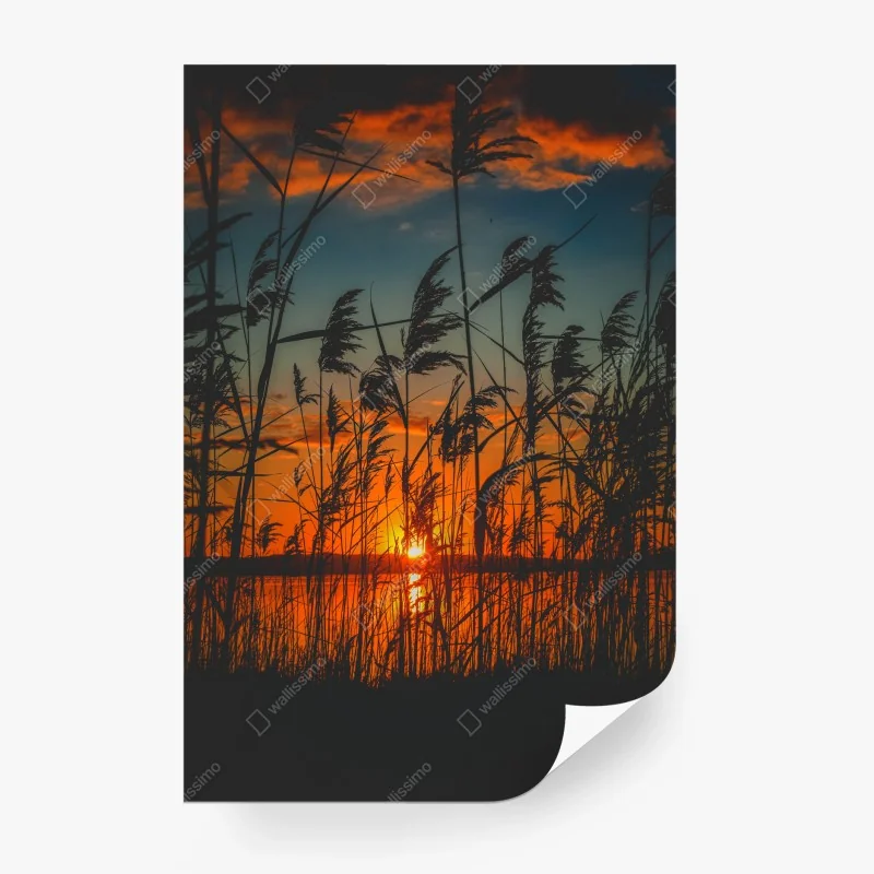 Flüsse & Seen – Wallnifity®