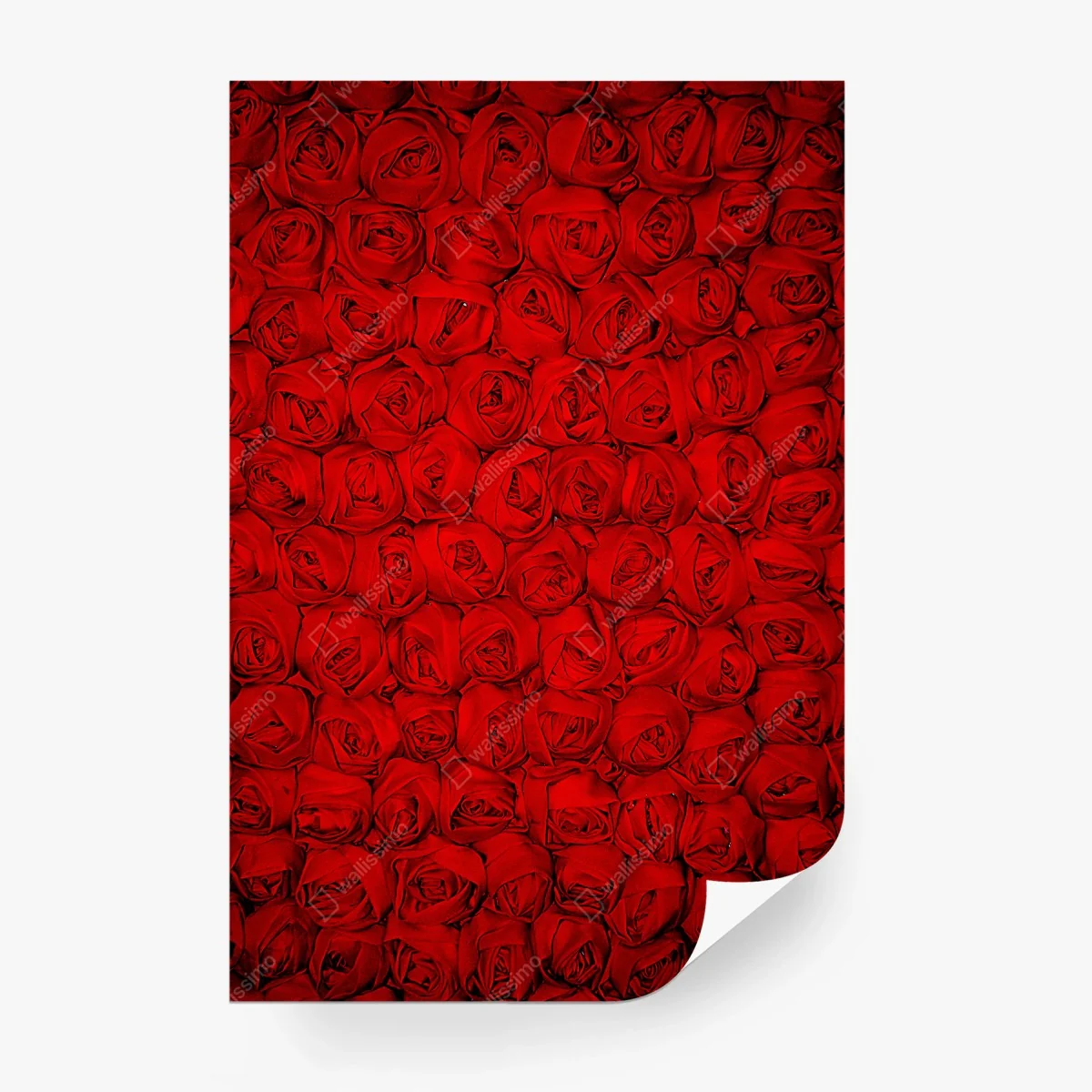 Fototapete endlose rote rosen – Wallnifity® Fototapete endlose rote rosen – Wallnifity®