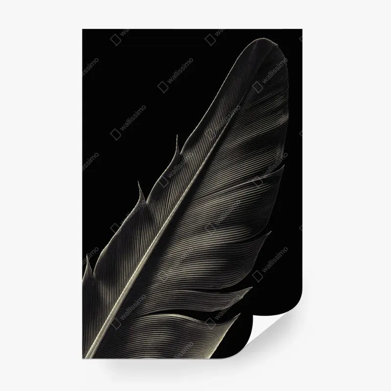 Vögel – Wallnifity®