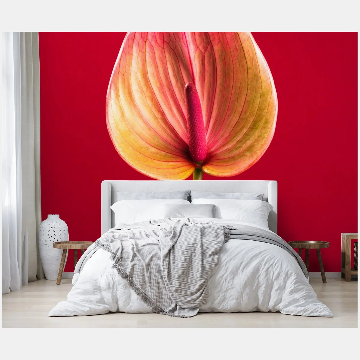 Fototapete elegantes anthurium vor rotem hintergrund – Wallnifity® Fototapete elegantes anthurium vor rotem hintergrund – Wallnifity®
