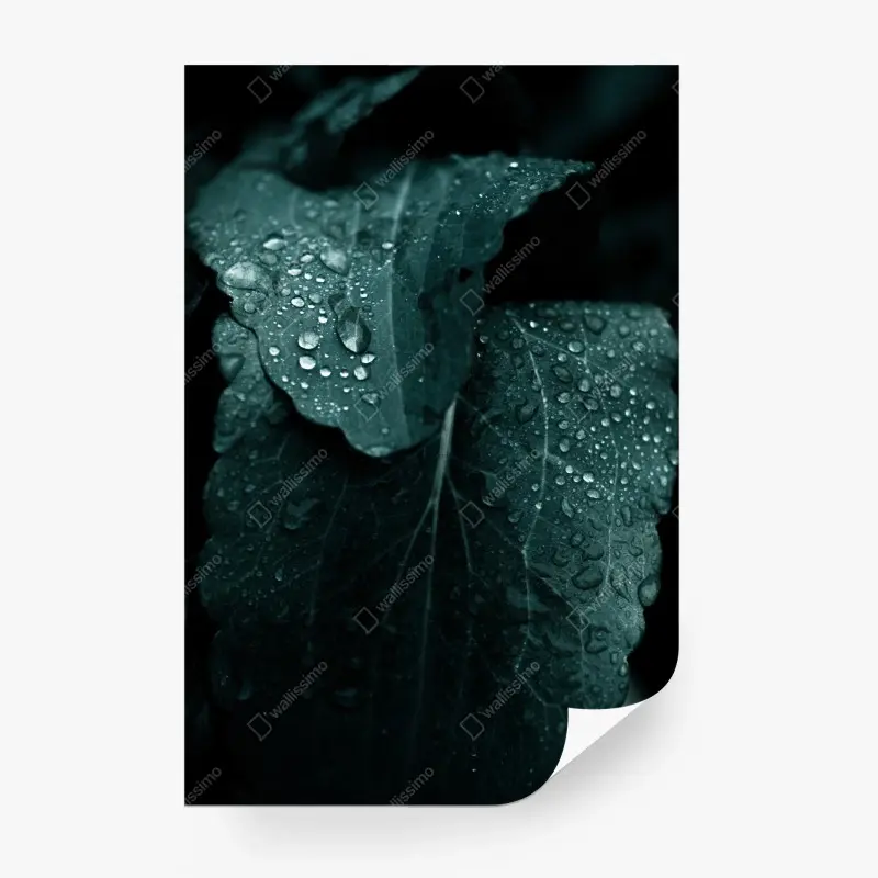 Wohnzimmer – Wallnifity®