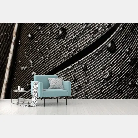 Fototapete monochrome feder mit wassertropfen – Wallnifity®