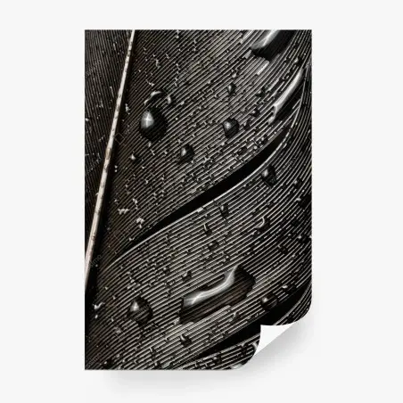 Fototapete monochrome feder mit wassertropfen – Wallnifity®