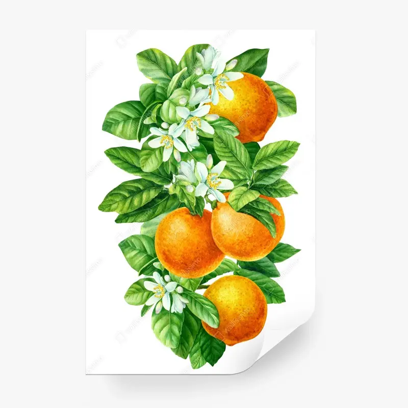 Obst & Gemüse – Wallnifity®