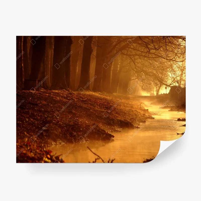 Flüsse & Seen – Wallnifity®