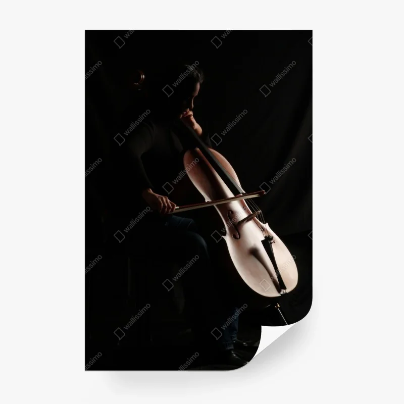 Musik – Wallnifity®