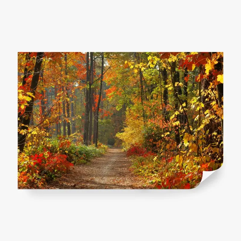 Wälder – Wallnifity®