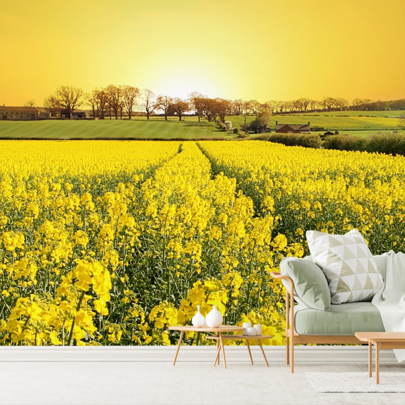 Wiesen – Wallnifity®