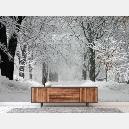 Fototapete ruhiger winterwaldweg – Wallnifity®