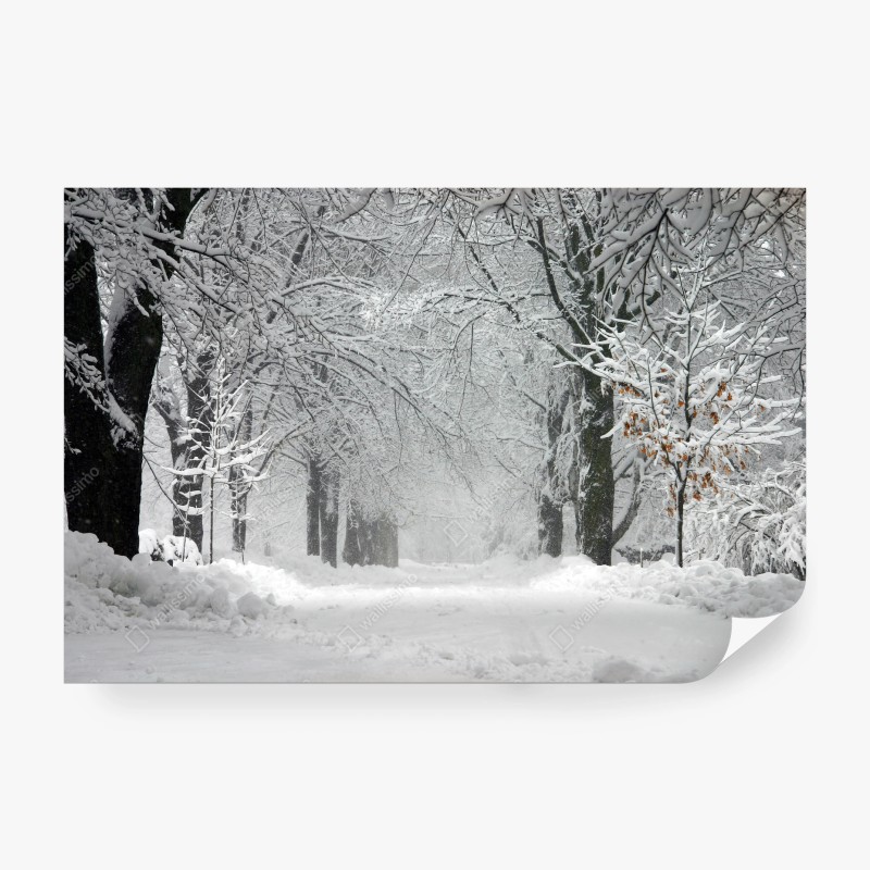 Fototapeten – Wallnifity®