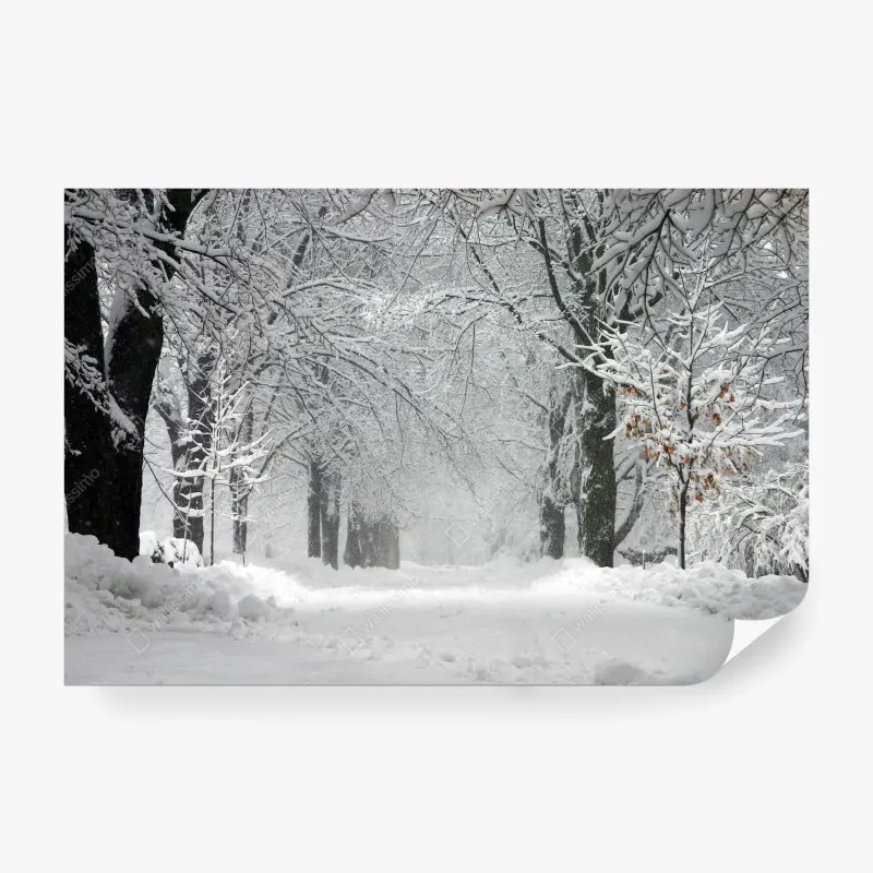 Natur – Wallnifity®