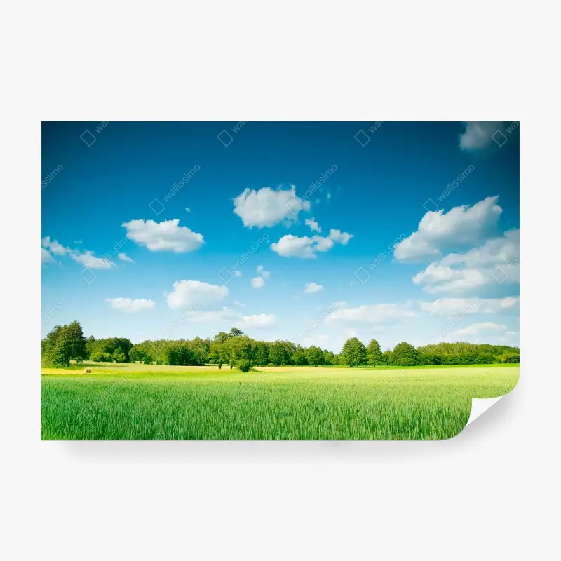 Fototapeten – Wallnifity®