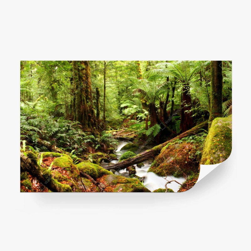 Natur – Wallnifity®