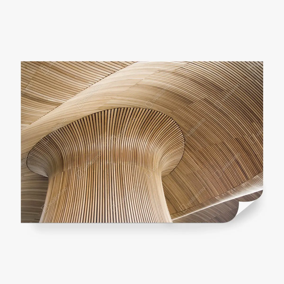 Fototapete skulpturale holzdecke mit wellenform – Wallnifity®