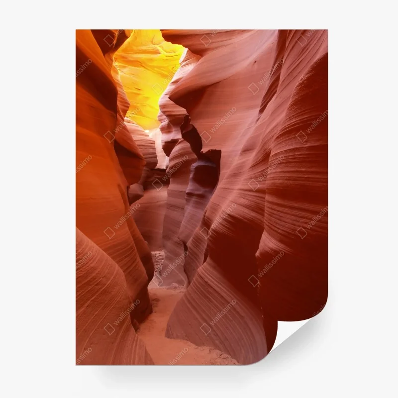 Wüste – Wallnifity®