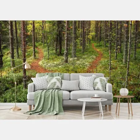 Fototapete ruhiger waldpfad im kiefernwald – Wallnifity®