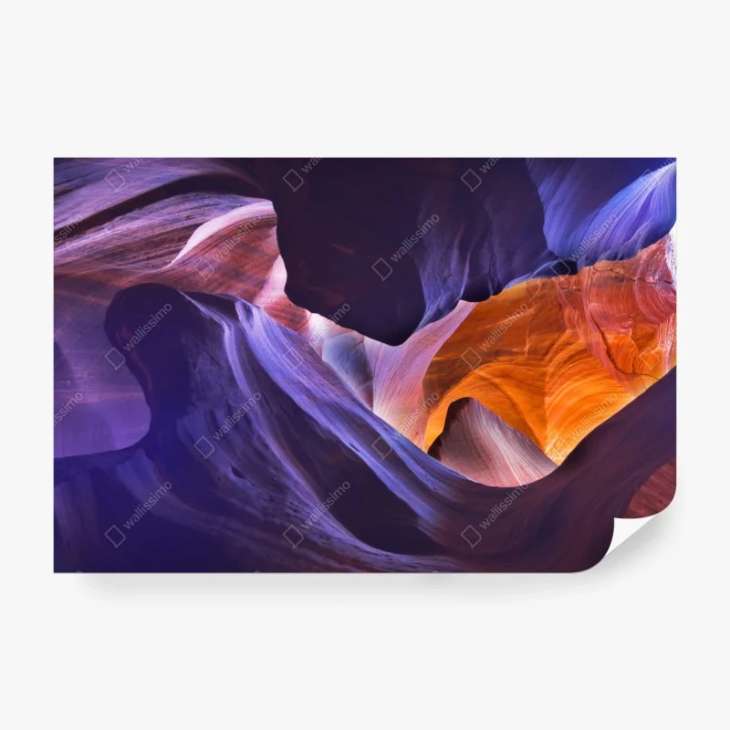 Wüste – Wallnifity®