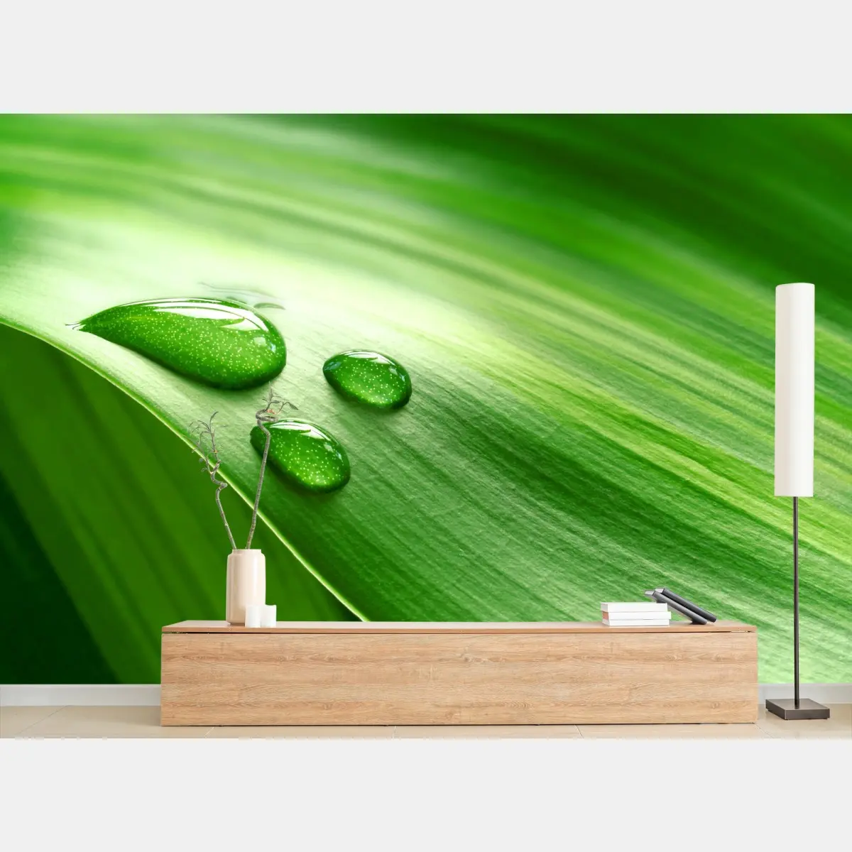 Fototapete frisches grünes blatt mit tauperlen – Wallnifity®