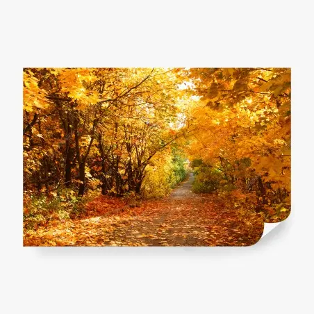 Fototapete goldener herbstweg durch die bäume – Wallnifity®