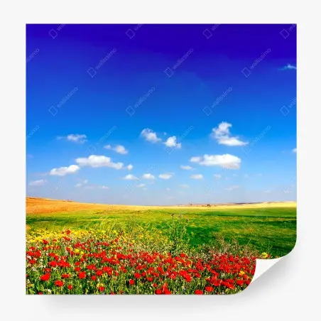 Fototapete lebhafte mohnwiese unter blauem himmel – Wallnifity®