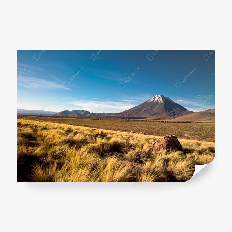Fototapeten – Wallnifity®