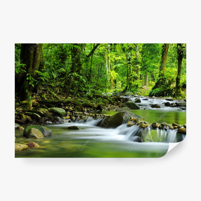 Flüsse & Seen – Wallnifity®