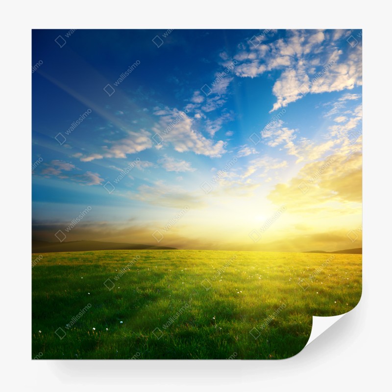 Wiesen – Wallnifity®