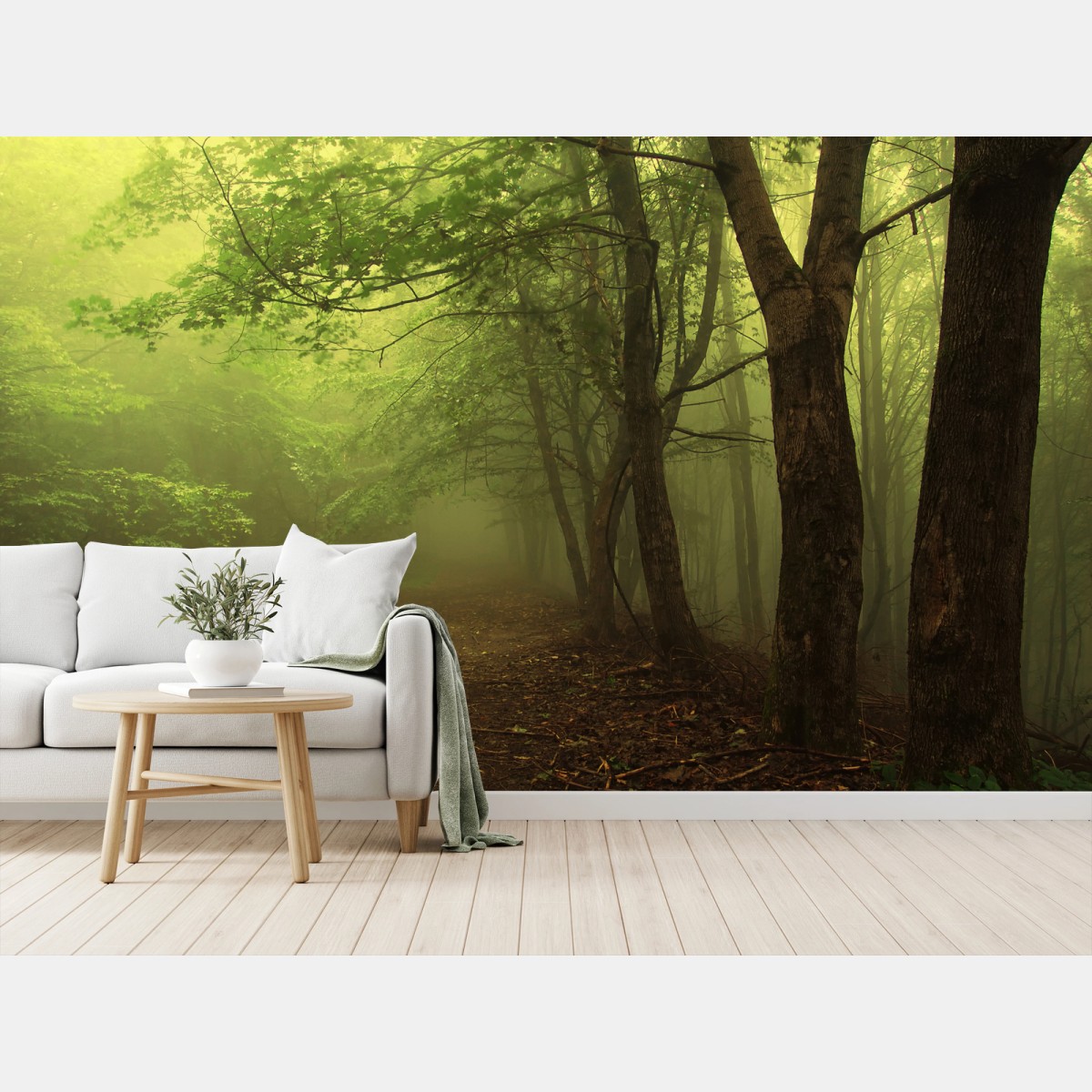 Fototapete nebliger waldweg im grünen – Wallnifity®