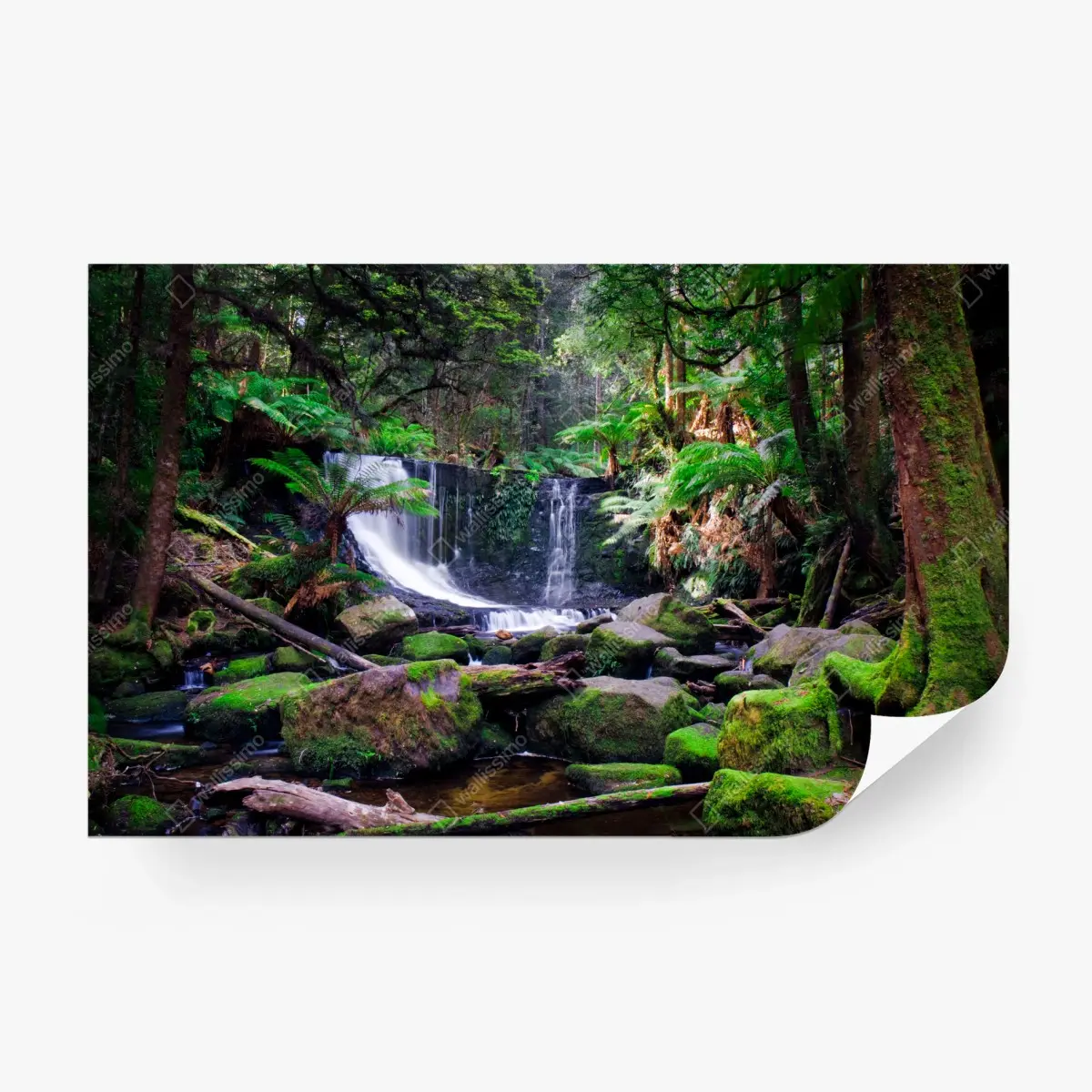 Fototapete moosbedeckter wasserfall im üppigen wald – Wallnifity®