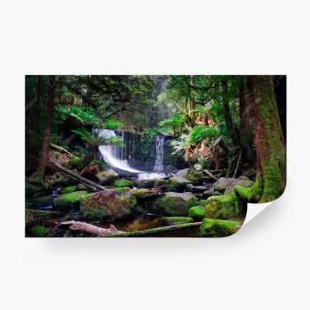 Fototapete moosbedeckter wasserfall im üppigen wald – Wallnifity®