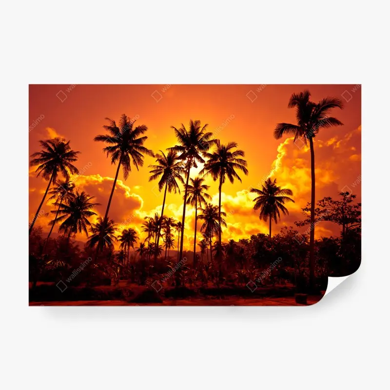 Strand – Wallnifity®