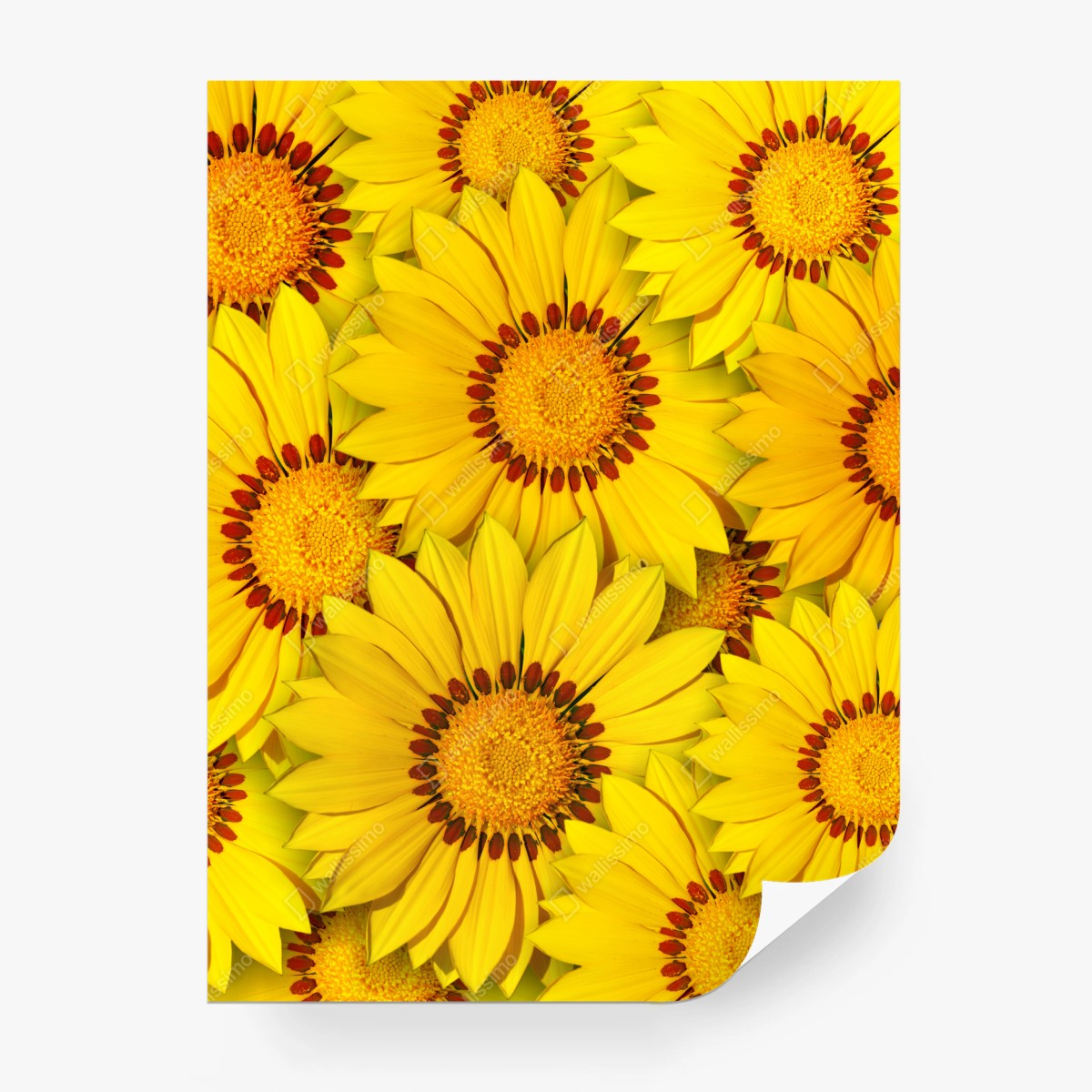 Fototapete leuchtendes gelbes blumenmuster – Wallnifity®