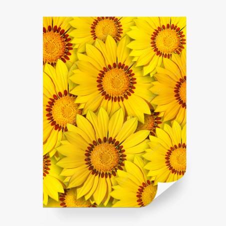 Fototapete leuchtendes gelbes blumenmuster – Wallnifity®