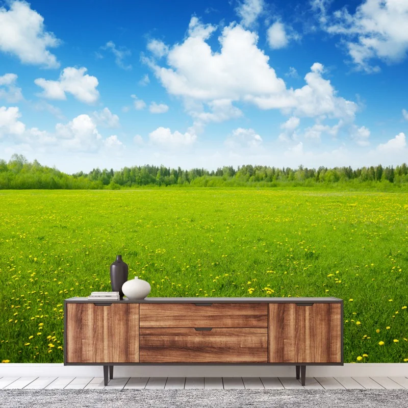 Wiesen – Wallnifity®
