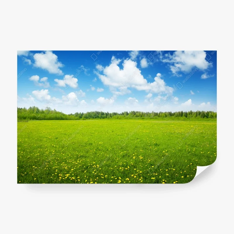 Fototapeten – Wallnifity®