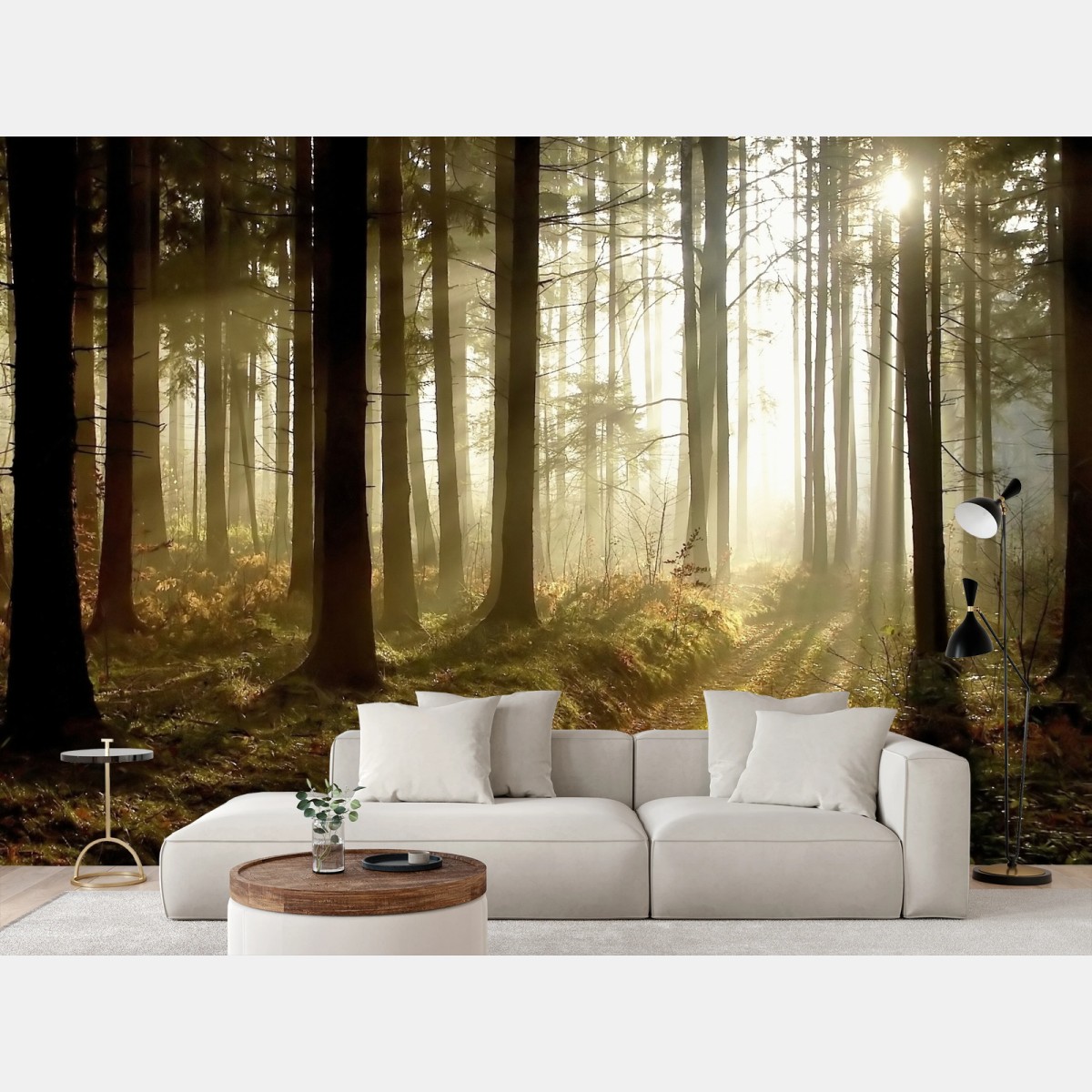 Fototapete sonniger waldpfad im morgennebel – Wallnifity®
