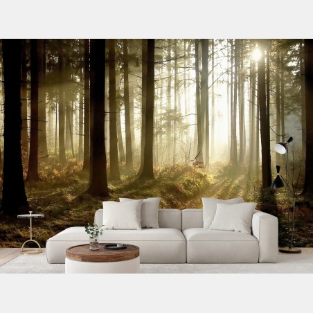 Fototapete sonniger waldpfad im morgennebel – Wallnifity®
