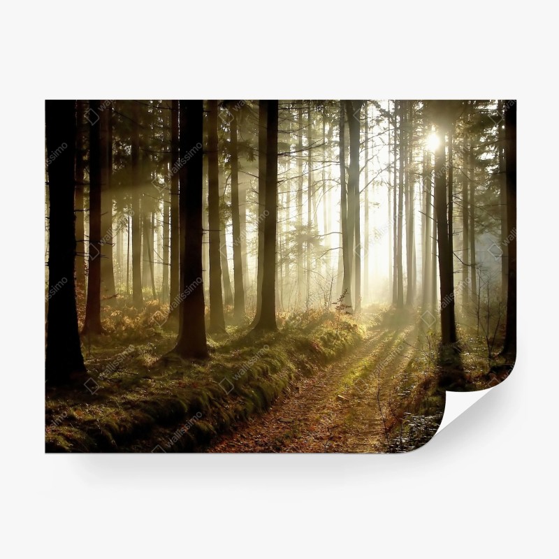 Natur – Wallnifity®