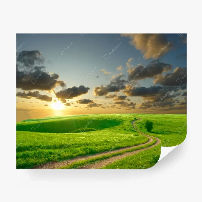 Fototapeten – Wallnifity®