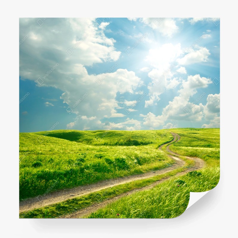 Wiesen – Wallnifity®