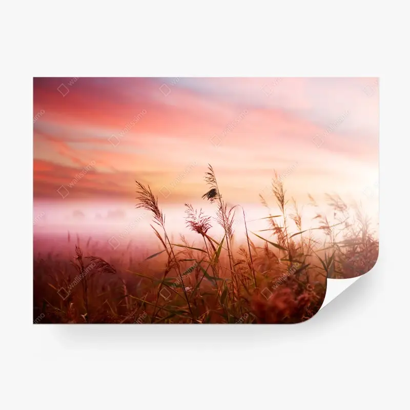 Natur – Wallnifity®
