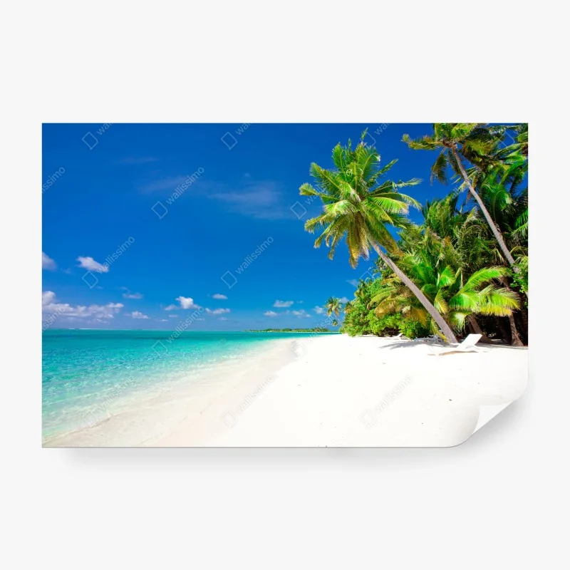 Strand – Wallnifity®
